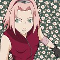 Haruno_Sakura_384