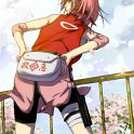 Haruno_Sakura_590