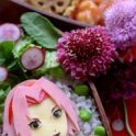 Haruno_Sakura_664