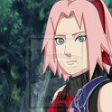Haruno_Sakura_843