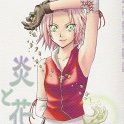 Haruno_Sakura_882