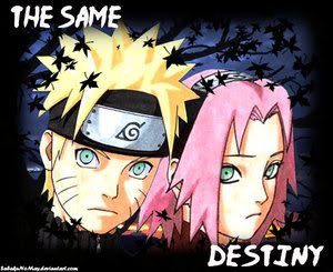 NaruSaku_1107