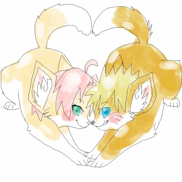 NaruSaku_1337