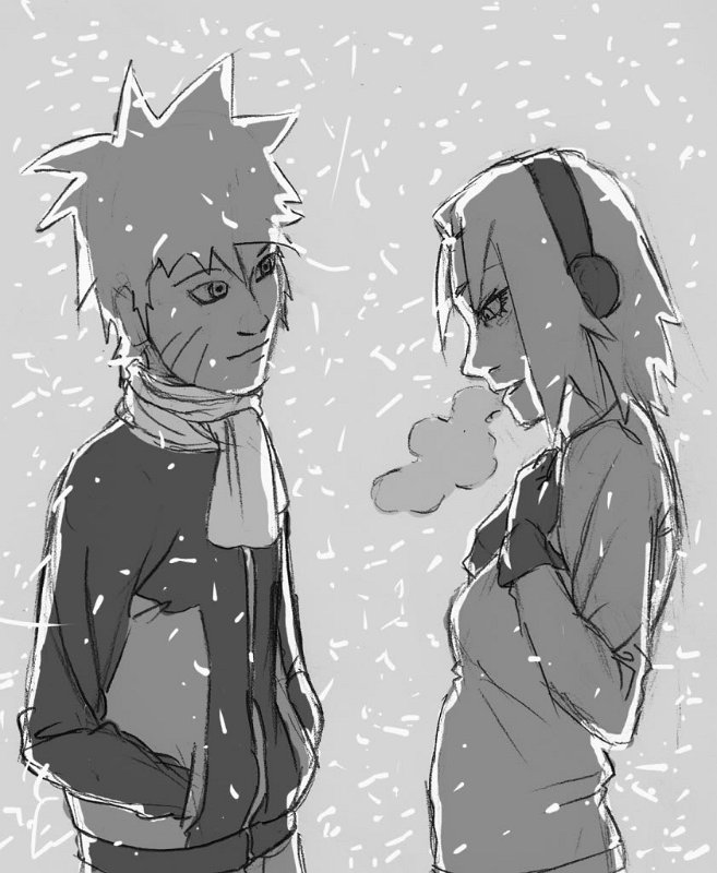 NaruSaku_1617