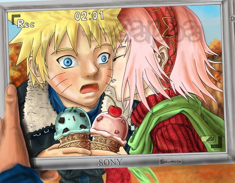 NaruSaku_1629