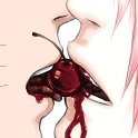 NaruSaku_1577