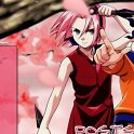 NaruSaku_1605