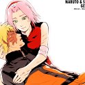 NaruSaku_1659
