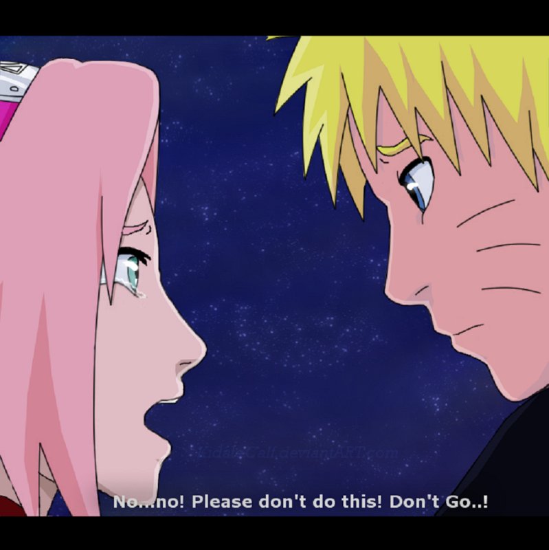 NaruSaku_1817