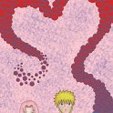NaruSaku_1865