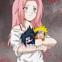 Sakura_masokkal_100