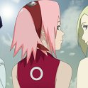 Sakura_masokkal_210