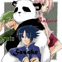 Sakura_masokkal_444