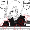 Sakura_masokkal_446