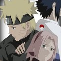 Sakura_masokkal_473