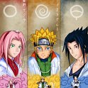 Sakura_masokkal_678